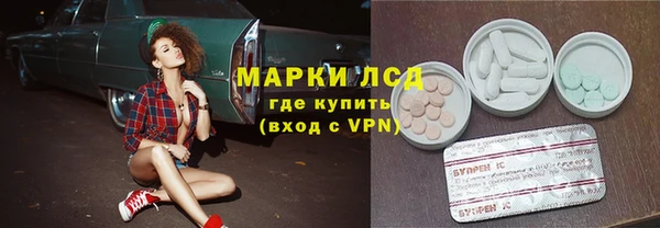 спайс Алзамай