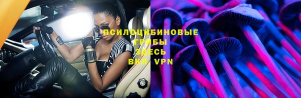 спайс Алзамай